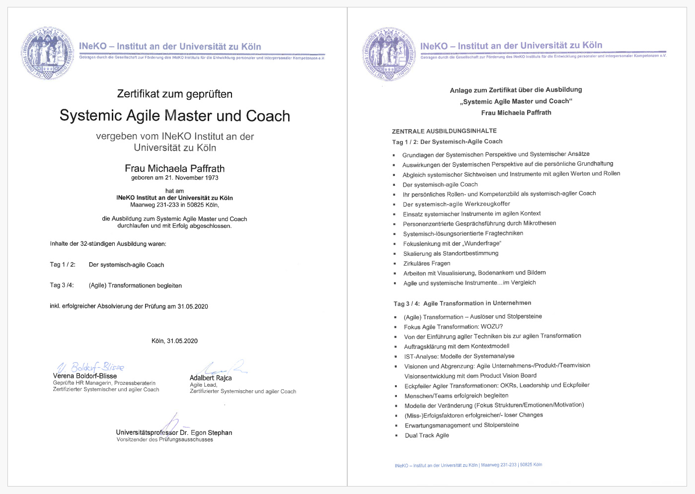Systemic Agile Masterin und Coachin